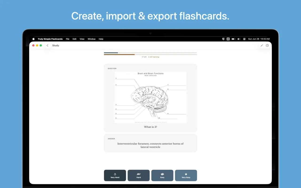 Studying a brain anatomy flashcard on Mac, with the four grade buttons: Very Hard, Hard, Easy, and Very Easy